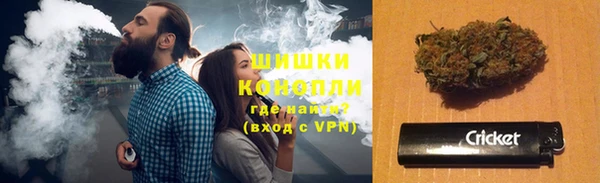 прущий лед Богданович