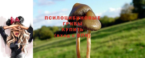 прущий лед Богданович