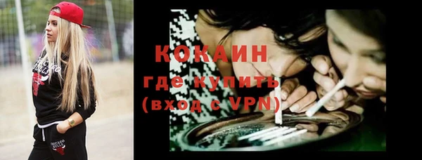 прущий лед Богданович