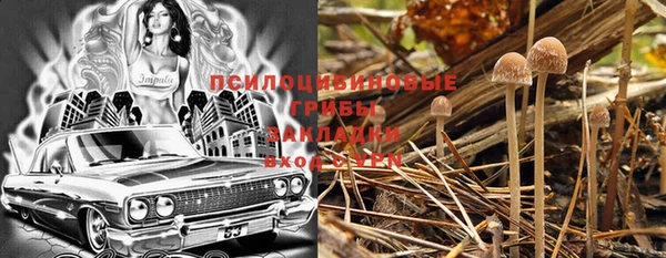 СК Белокуриха