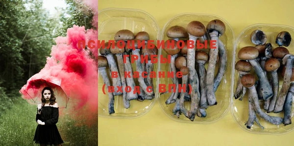 MDMA Богородицк