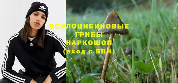 прущий лед Богданович