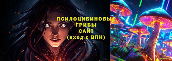 прущий лед Богданович
