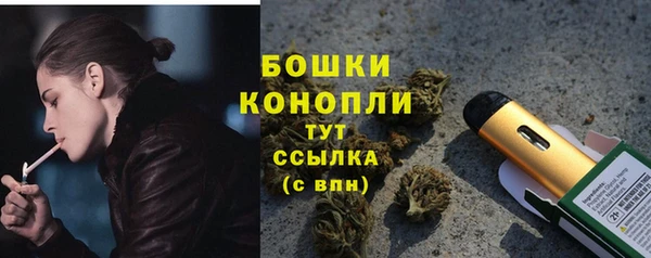 прущий лед Богданович